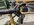 IMG_5641.jpeg