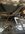 IMG_8385.jpeg