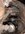 D7931E66-EC3D-4E71-A3B6-5A87BC31D4F4.jpeg