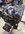 IMG_3667.jpeg