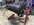 IMG_3664.jpeg
