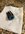 IMG_7430.jpeg