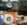 IMG_8447.jpeg IMG_8447.jpeg