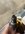 IMG_1046.jpeg