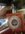 IMG_8453.jpeg