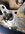 IMG_3670.jpeg