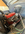 1696513034968.png