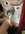 IMG_3683.jpeg