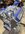 IMG_3686.jpeg