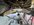 IMG_2441.jpeg