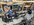 IMG_5806.jpeg