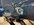 IMG_6121.jpeg