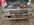 IMG_2640.jpeg IMG_2640.jpeg
