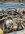 IMG_2641.jpeg IMG_2641.jpeg
