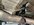 IMG_8487.jpeg