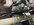 IMG_8503.jpeg