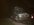 IMG_8659.jpeg