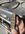 IMG_1099.jpeg