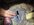 IMG_7792.jpeg