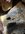 IMG_7793.jpeg