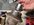 IMG_7794.jpeg