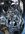 IMG_8682.jpeg