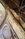 IMG_7813.jpeg