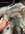 IMG_7824.jpeg