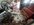 IMG_7828.jpeg