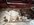 IMG_7831.jpeg