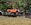 IMG_8255.jpeg