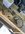 IMG_7924.jpeg