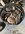 IMG_1108.jpeg