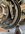 IMG_1110.jpeg
