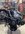 IMG_3737.jpeg