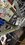 IMG_6233.jpeg