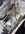 IMG_7910.jpeg