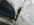 IMG_7913.jpeg