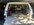 IMG_7891.jpeg