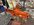 8E7ACBDD-865B-4C92-8E59-F05A888B86A8.jpeg