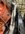 890E6E2F-9E76-4887-BDA3-18AD6BB41410.jpeg