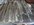 IMG_7923.jpeg