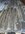 IMG_7922.jpeg