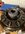 IMG_7956.jpeg