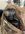 IMG_7958.jpeg