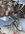 IMG_4360.jpeg