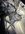 IMG_6417.jpeg
