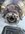 IMG_3893.jpeg