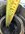 IMG_3892.jpeg