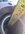 IMG_3896.jpeg